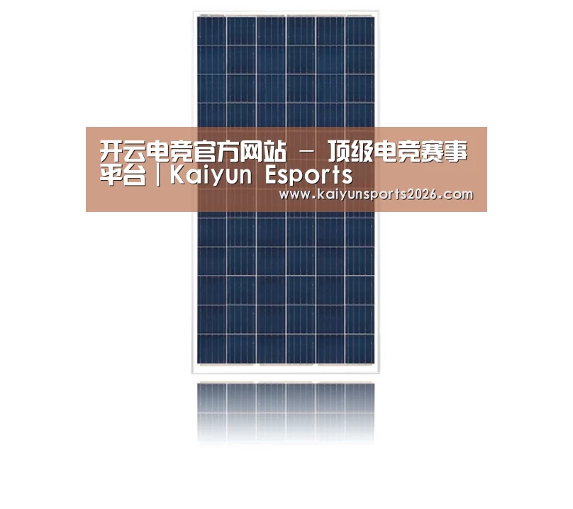 产品名称一