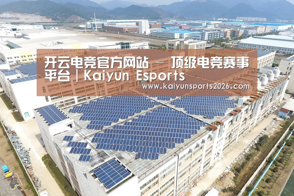 案例展示四