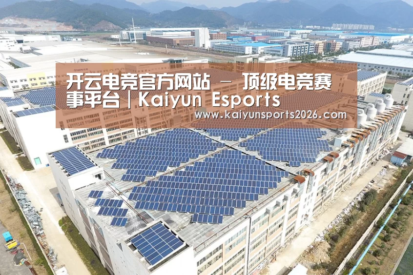案例展示二