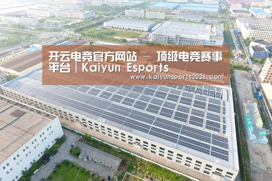 案例展示三