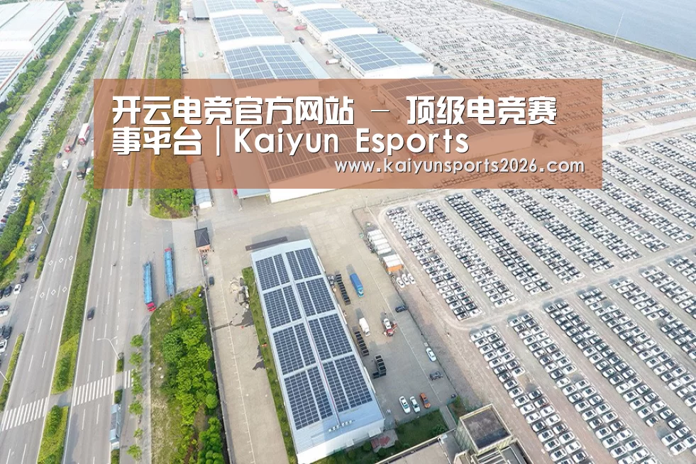 案例展示一
