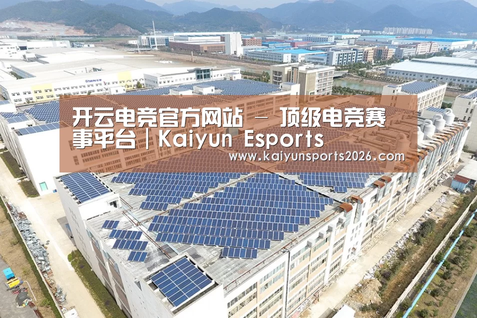 案例展示四