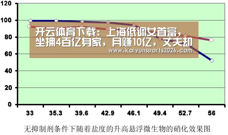 开云移动端