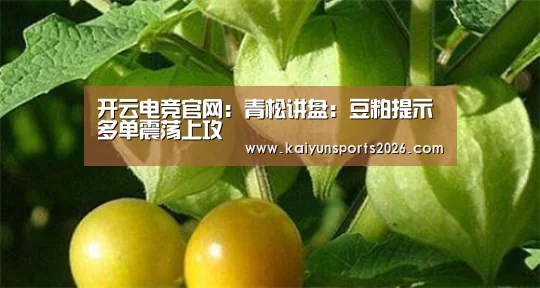 开云电竞官网：青松讲盘：豆粕提示多单震荡