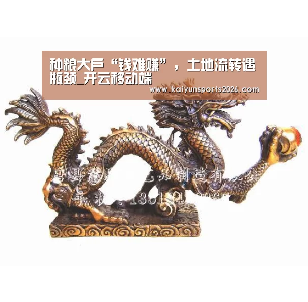 种粮大户“钱难赚”,土地流转遇瓶颈_开云移动端(图1) 开云全站下载