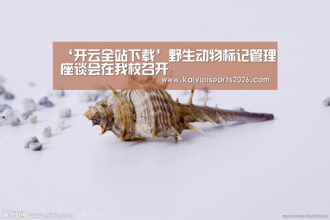 开云电竞官网